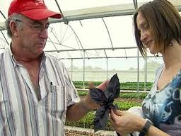 Ayuda con Plantas Medicinales